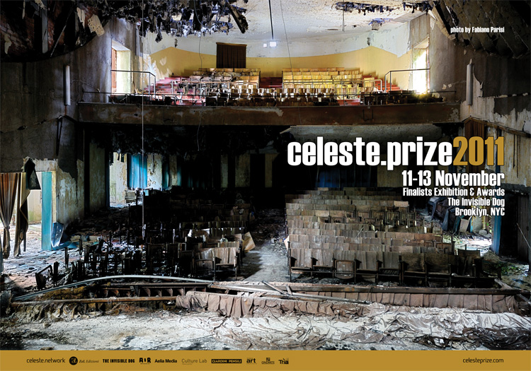 Visual Celeste Prize 2011