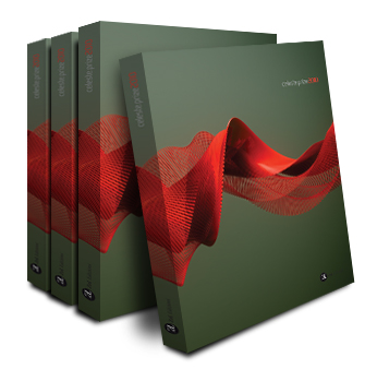 Cover Celeste Prize 2010