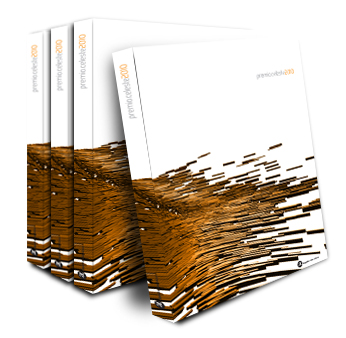 Cover Premio Celeste 2010