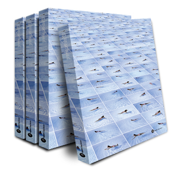 Producing Censorship - Catalogue Catalogo Premio Celeste Bologna 2011