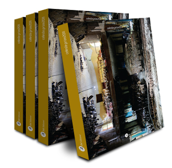 Cover Celeste Prize 2011 Cover Celeste Prize 2011