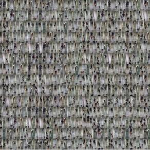 viaggiatori ordinati