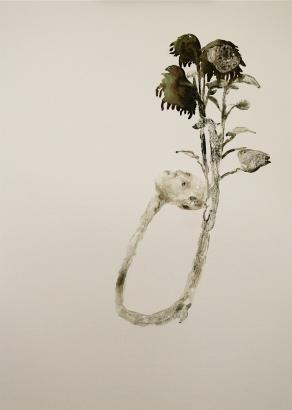 La nuda forma(studio)