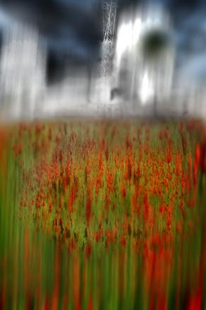  due visioni, due mondi paralleli.......