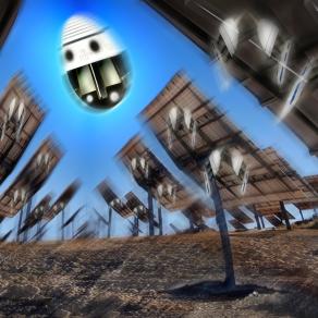 Un futuro di nuove stagioni per raccolti energetici.