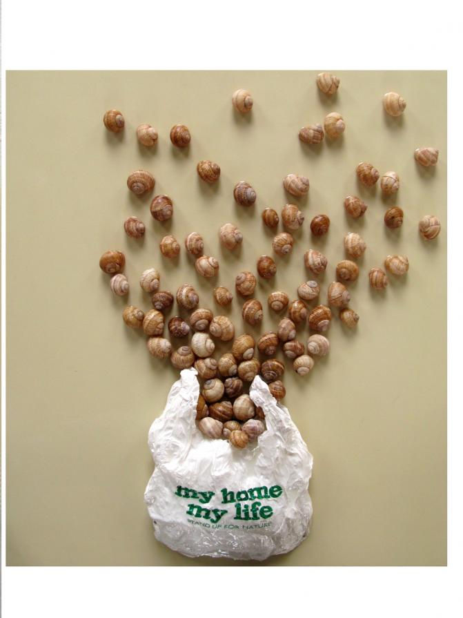 IF 179 - my Home, my Life. IF 179 - my Home, my Life.