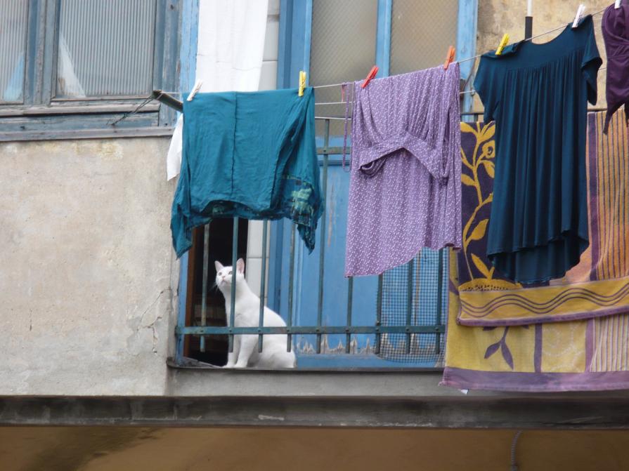 Passeggiando a Laigueglia...