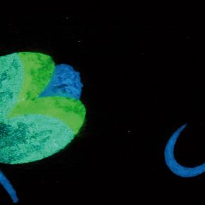 Guardo l'istante fiorito e azzurro 2 ( opera al buio )