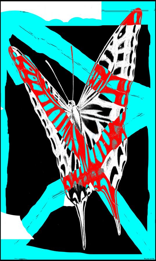 Il Tuffo Nel Cielo - AlternativeVision