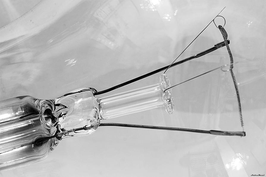 ...SCHEGGE DI OCCHIO DI RA (4) ...