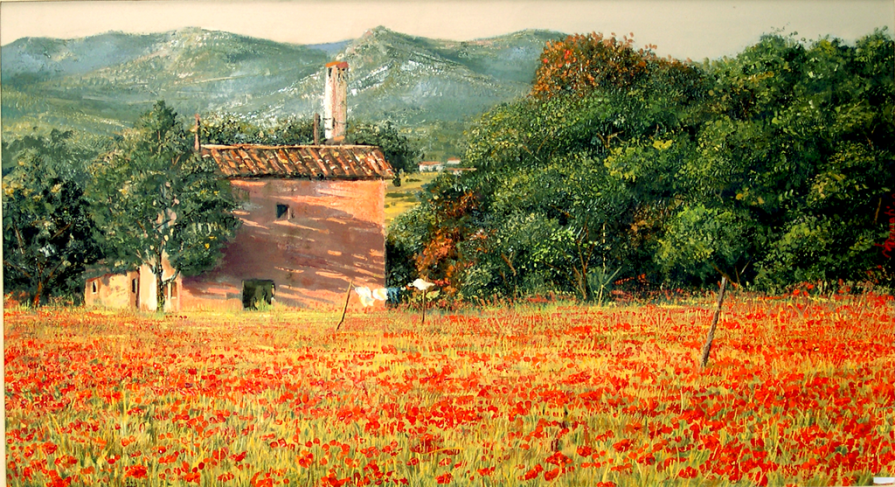 la cascina dei papaveri