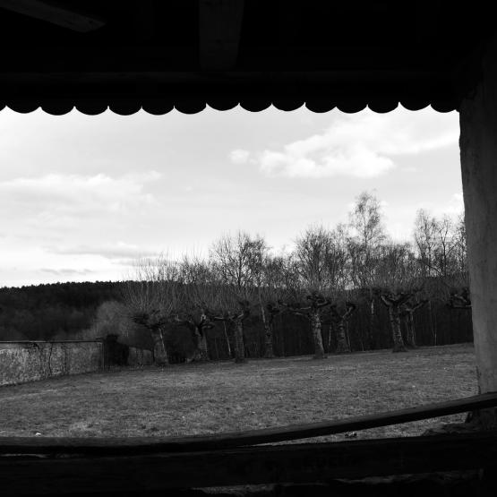 Théâtre de la nature