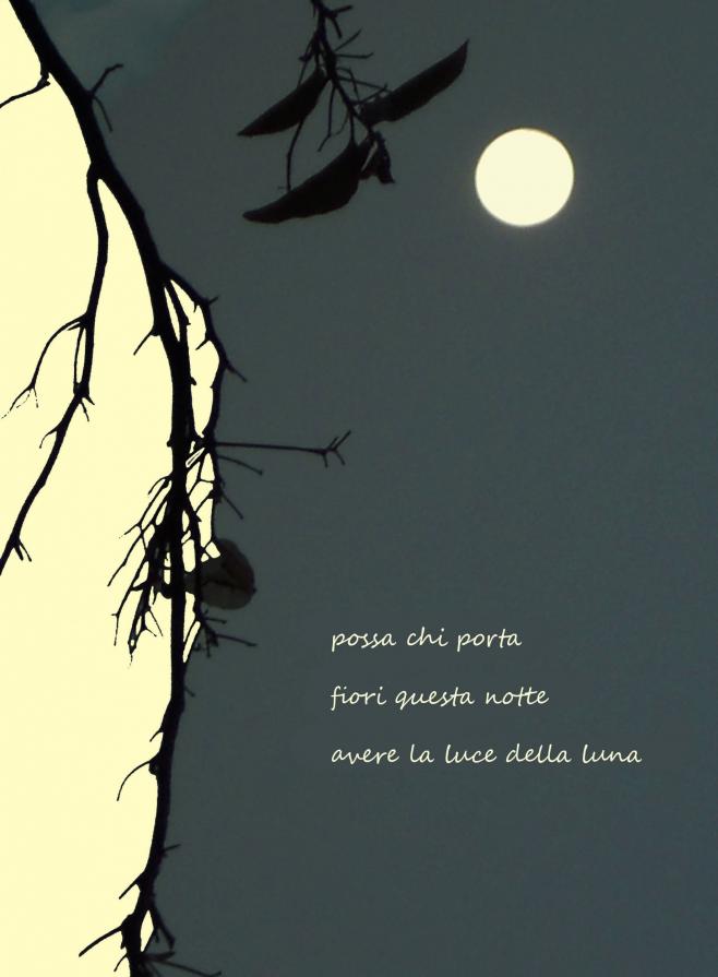 Anna Di Leo (Italia) – Haiku della luna – grafica digitale su carta - 25 x 34