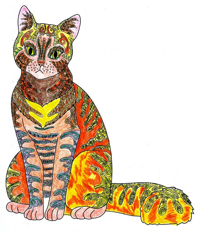 Eccomi .. Disse Il Gatto .. Amami Come Sono .. Oppure Non Amarmi Affatto !!!! . . . 