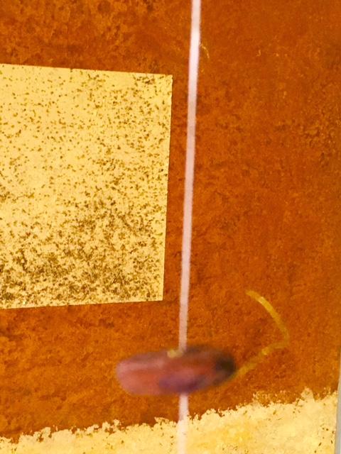 IL SEME è SACRO particolare