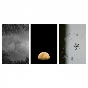 Title: Last week - Digital photographs - A triptych on large print paper. overview1 Title: Last week - Digital photographs - A triptych on large print paper. overview1