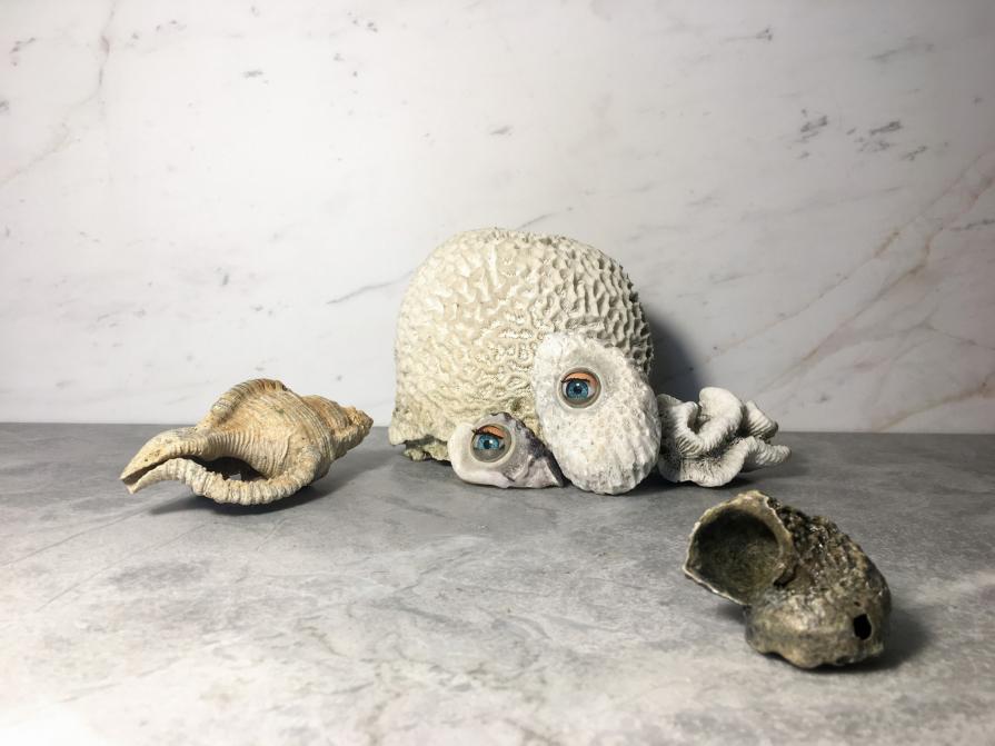 Memento Corallium-still life, still beautiful