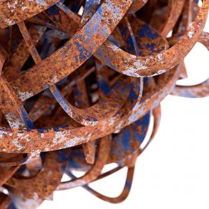 Blemish ( i ) Detail 