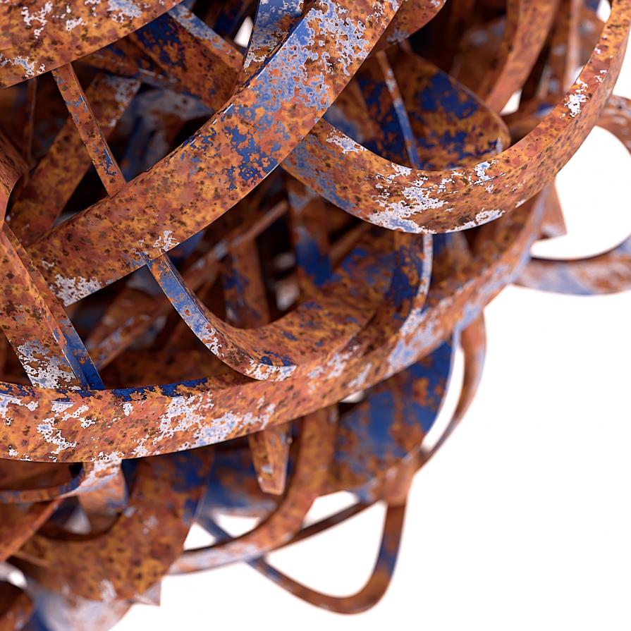 Blemish ( i ) Detail 