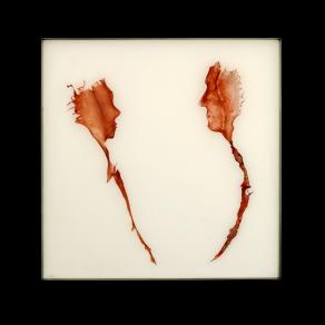 Le  jardin des caresses