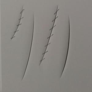 serie rientro spaziale (doppiacoppia) 