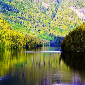 Contemporary Art Gallery Online Announces an International Call for Artists to Participate in the “ALL Landscapes” Art Competition & Exhibition Contemporary Art Gallery Online Announces an International Call for Artists to Participate in the “ALL Landscapes” Art Competition & Exhibition