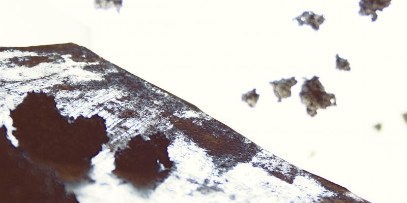 Newsletter Subscription