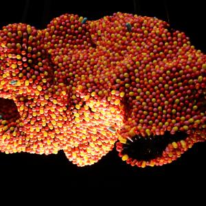 UNMAPPED MABU – SITE SPECIFIC INSTALLATION by Noumeda Carbone