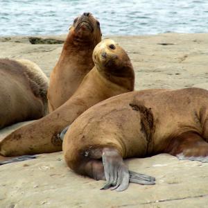 Argentina, Patagonia
