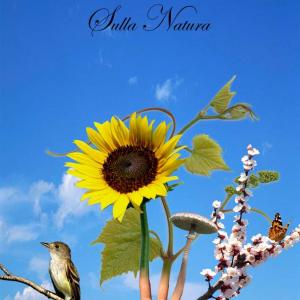 Premio Arte Rugabella 2012 - Sulla Natura