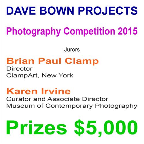 Dave Bown Projects - Call for Entries - Cash Prizes, Purchases, and Exposure - You’re Invited to Particpate