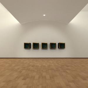 Max Coppeta / Visioni Transitorie - works 2001 / 2012