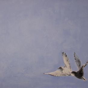 the indipendance day