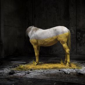 Visions from the Anthropocene