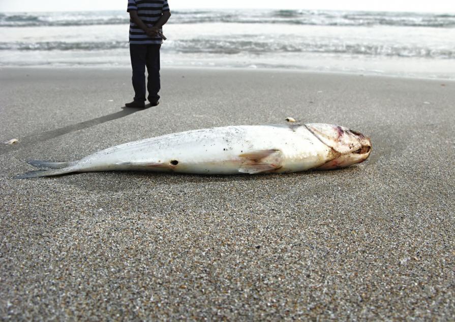 On the Beach II., from Unsettling Photographs series On the Beach II., from Unsettling Photographs series