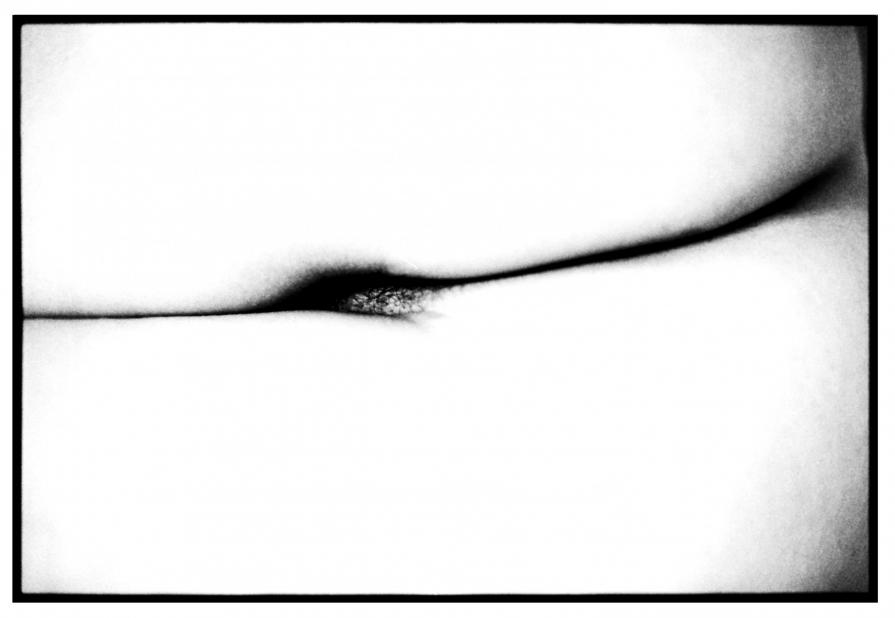 DIVINE CRACKS DIVINE CRACKS