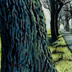 Stallo, in un pomeriggio d'inverno