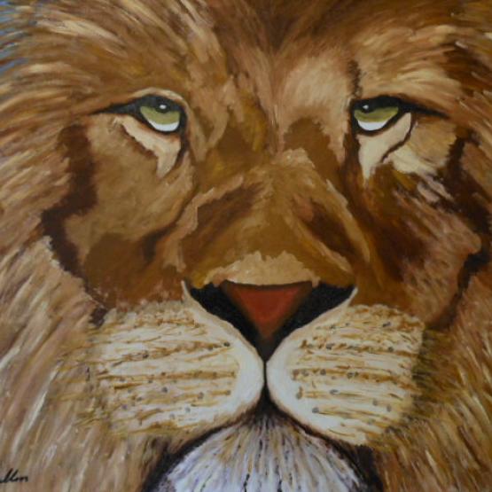 Sopravvivenza Sopravvivenza