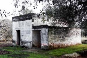 Filomena Sansevero - Invito al viaggio