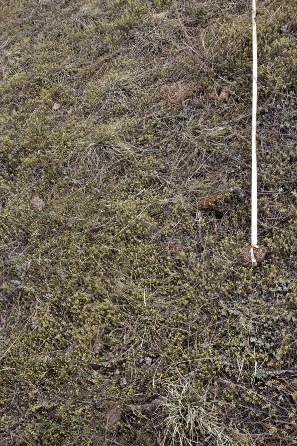 ALong Silent Paths ALong Silent Paths