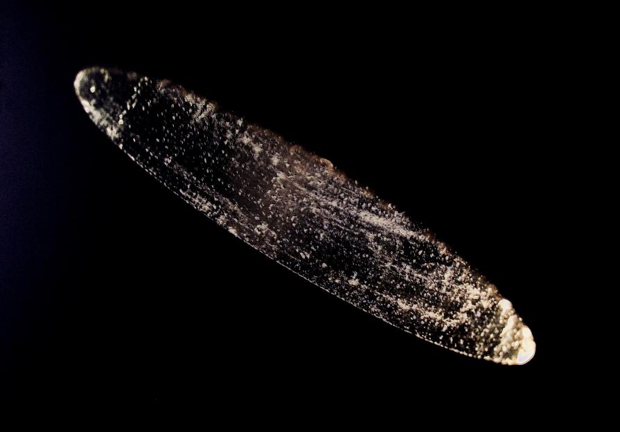 Lat 45,6898 Lat 45,6898