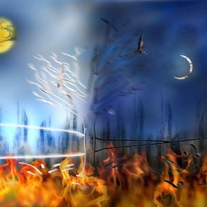 dalle macerie  quotidiane di guerre,rinasce la vita.