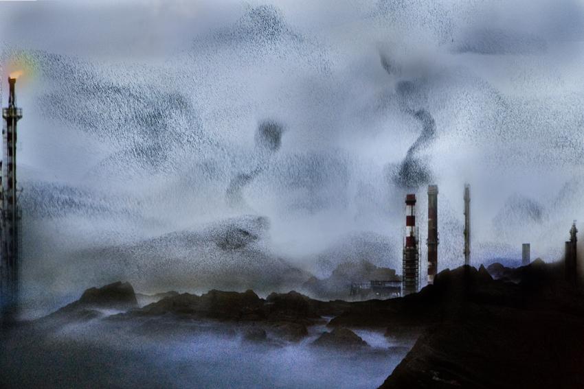 luciano alza gli occhi .tutto si mescola ,la natura si riprende il tutto....