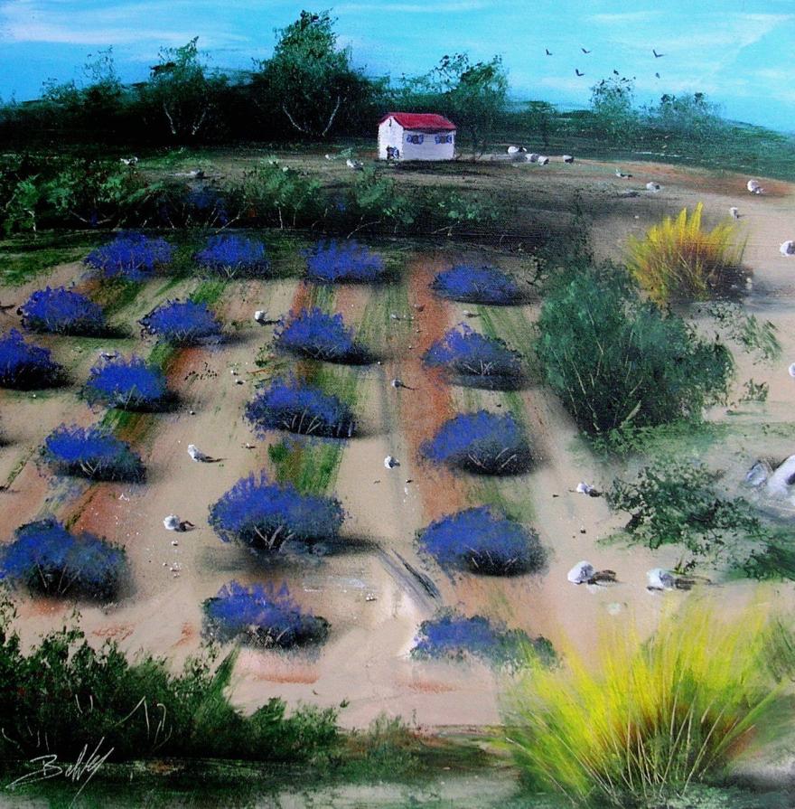 Elnuy Briot (Francia) – Provenza - Acrilico tela – 50 x 50