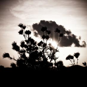 Visione parziale del "tutto" 