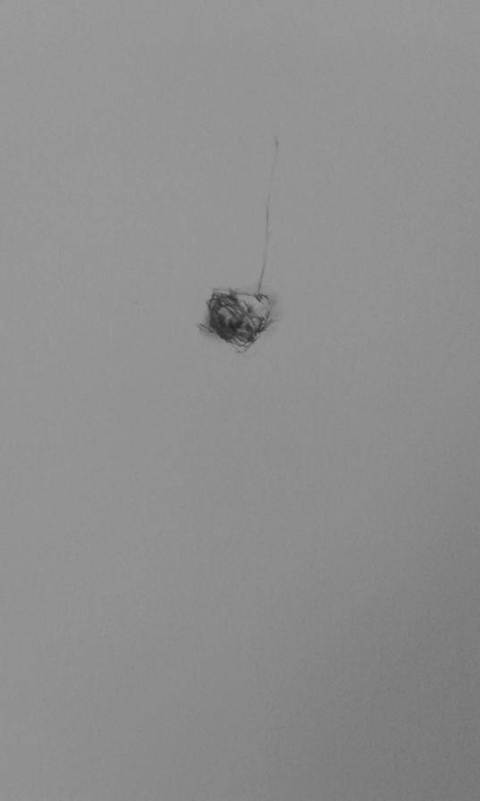 Opera n. 4 Nido - Tecnica mista su carta 2015