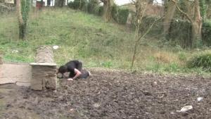 Jack Parrott - Bridge