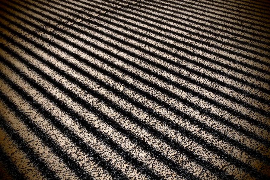 Strisce pedonali mentali    ( Mental crosswalks ) 