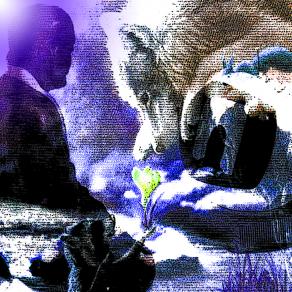 Se noi staremo qui . . . non saremo insieme !!!