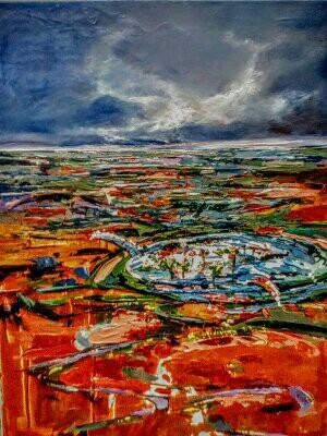 Lily pond in central Australian desert Lily pond in central Australian desert